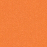 Graboflex_3338_00_279.jpg?ts=1760015930