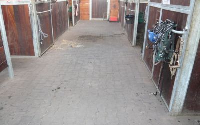 Gummigulv til hesteryg