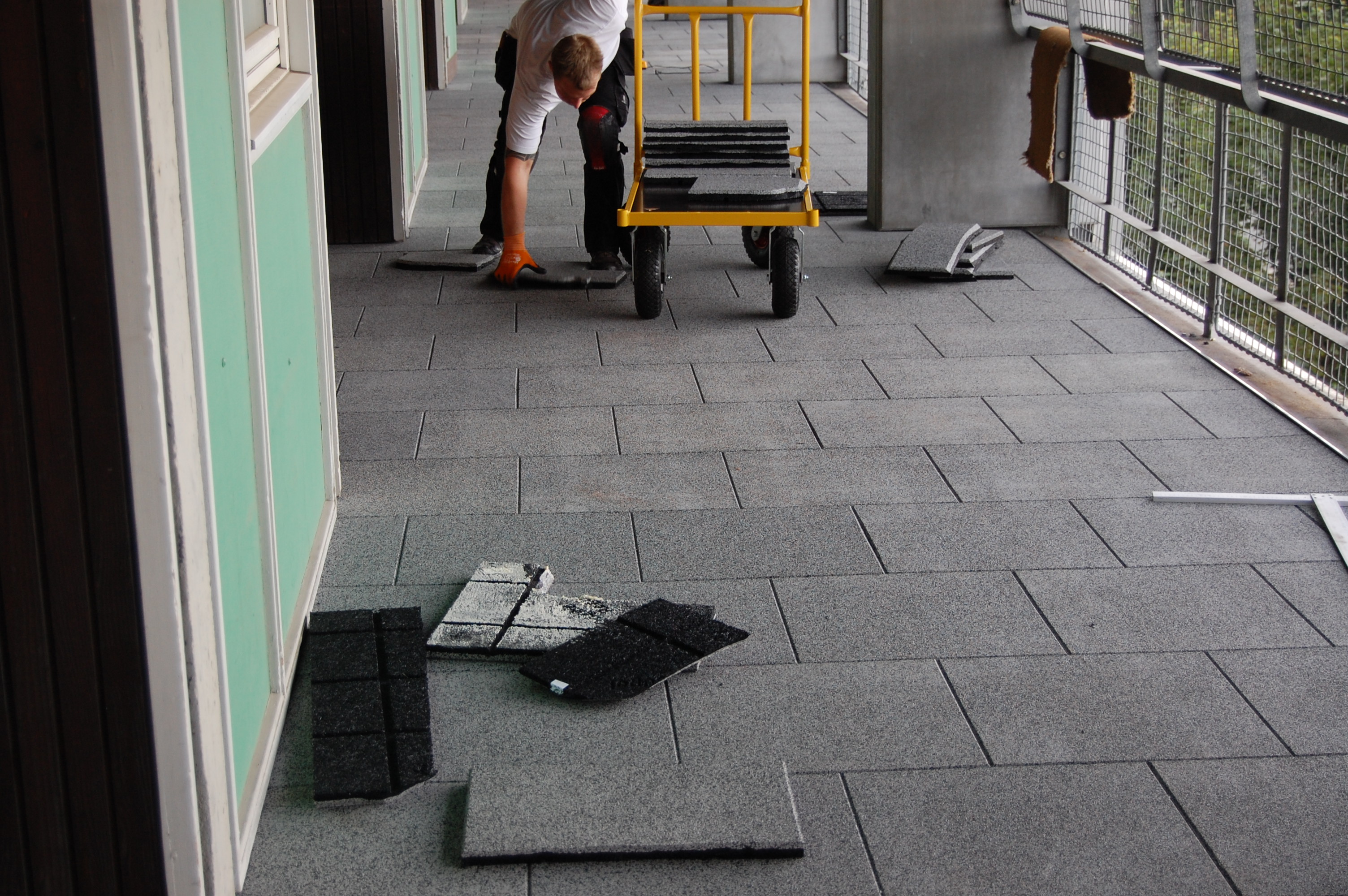 DSC 0025.jpg?ts=1760016179