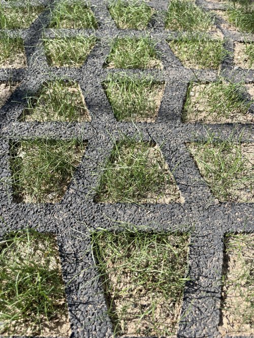 Playnsafe Faldgræsmåtter Faldunderlag Faldmåter Sikkerhedsmåtte Græsarmeringsmåtter Græsgittermåtter Hul Gummimåtter Installation På Legeplads Installerede Med Græs Img 8427.jpg?ts=1760016036