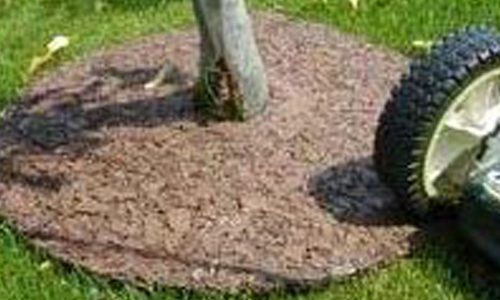 ErgoGarden Træring Med Plæneklipper.jpg?ts=1760015954