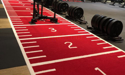 Ergograss Prowlerbane Type B Turf Kunstgræsbane For Crossfit Og Funktionel Træning.jpg?ts=1760015977