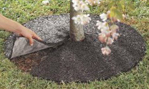 ErgoGarden Traering2.jpg?ts=1760015954