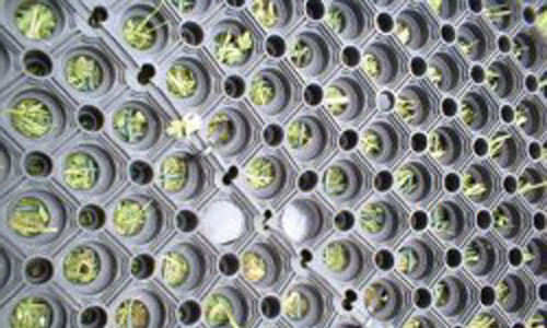 Sikkerhedsmaatter Naerbillede.jpg?ts=1760015891