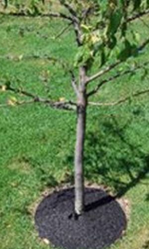 ErgoGarden Træringe udført i gummi, beskytter og holder på væden