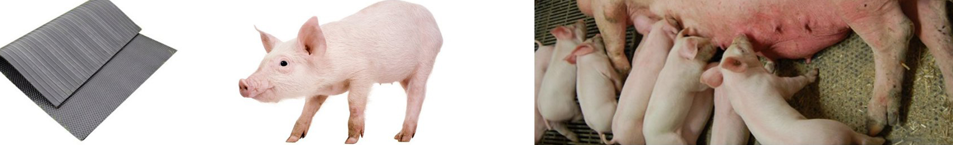 Rampemåtter og bundmåtter til dyretransport