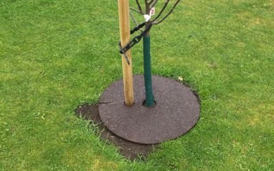 Have & Park produkter