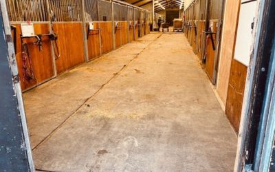 Når man arbejder som en hest