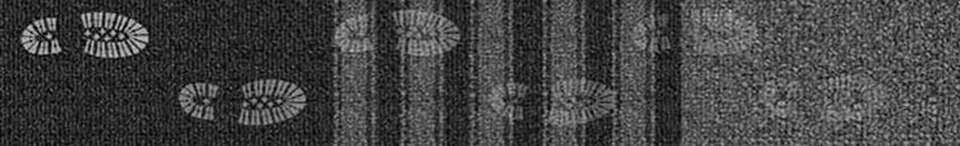 NOTRAX Entrémåtter - Smudsmåtter