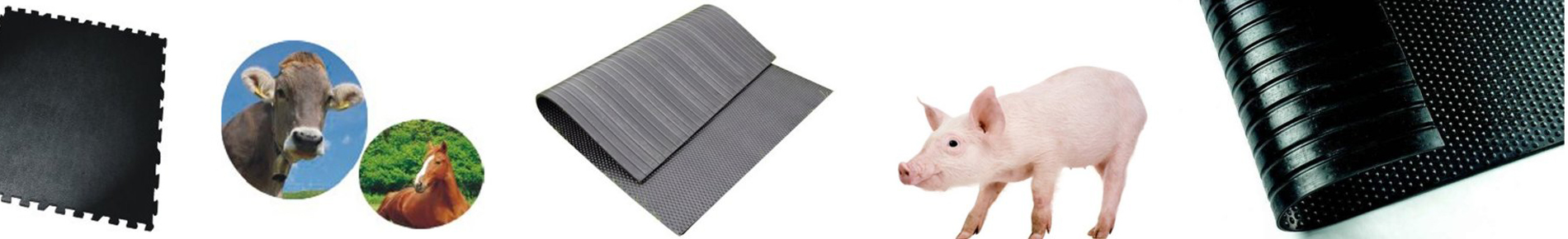 ErgoFloor udstiller på NutriFair 2014