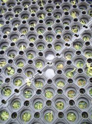 Sikkerhedsmåtte 1500x1000x22 mm, faldunderlag for anbefalet faldhøjde op til 2,0 m ved udlægning på underlag af naturgræs.