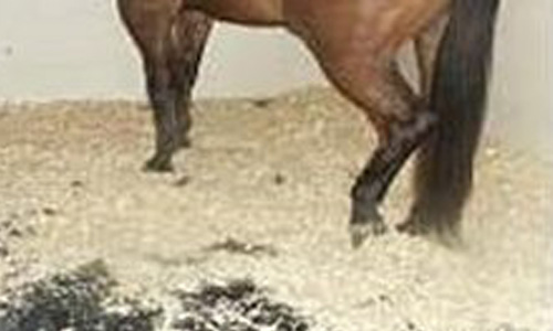 Boks Rev.jpg?ts=1760015883